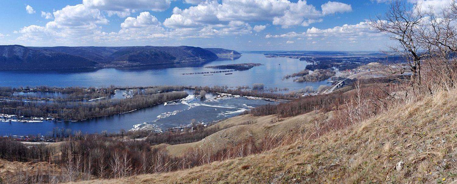 , Сергей Требунских