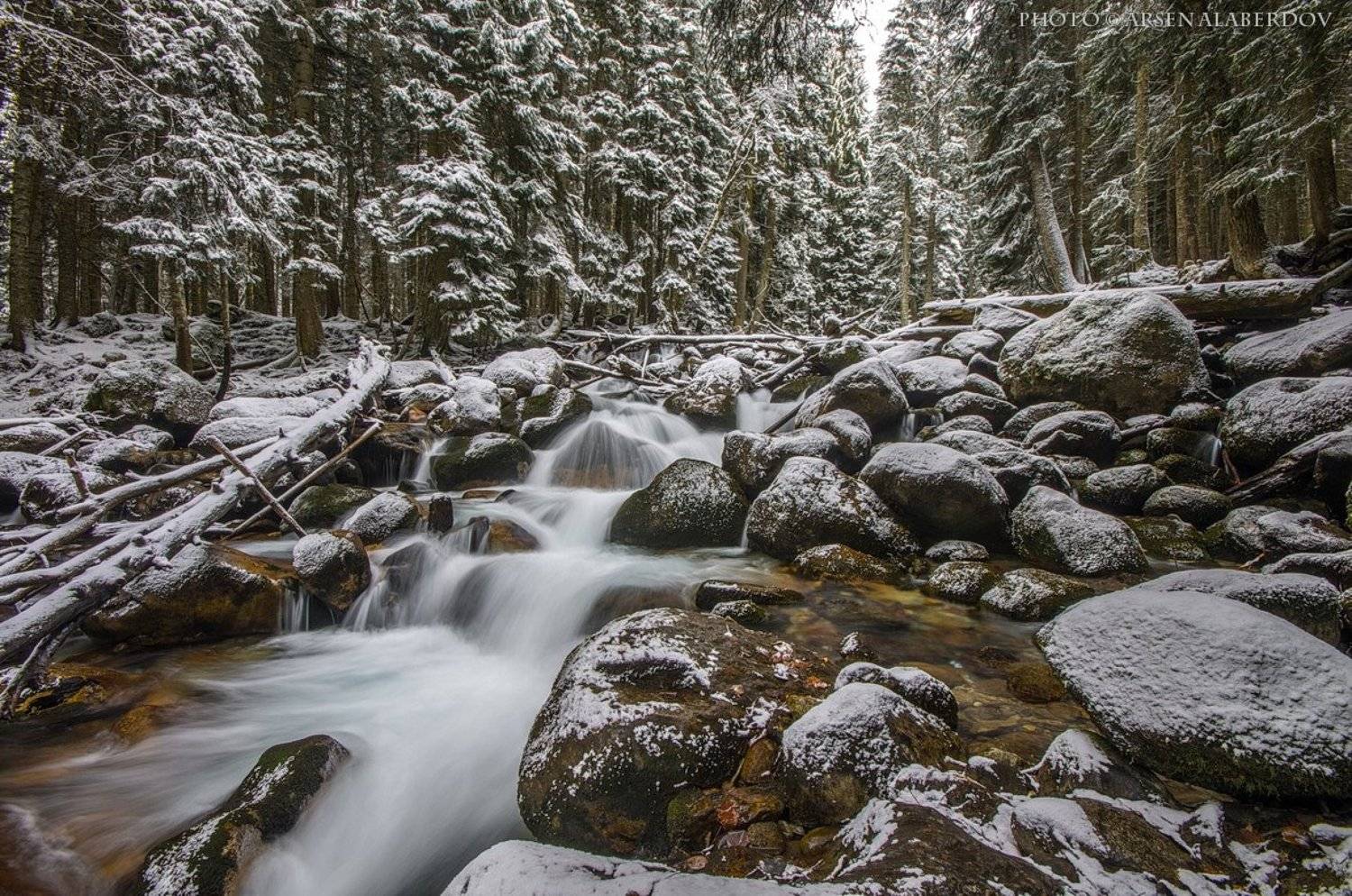 Горы, Зима, Кавказ, Лес, Речка, Ручей, Снег, Арсен Алабердов