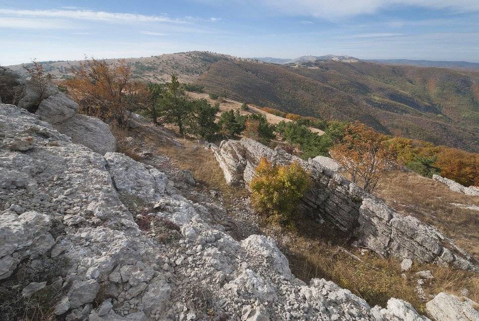 , Саша  Вайсберг / Waldschnepfe /