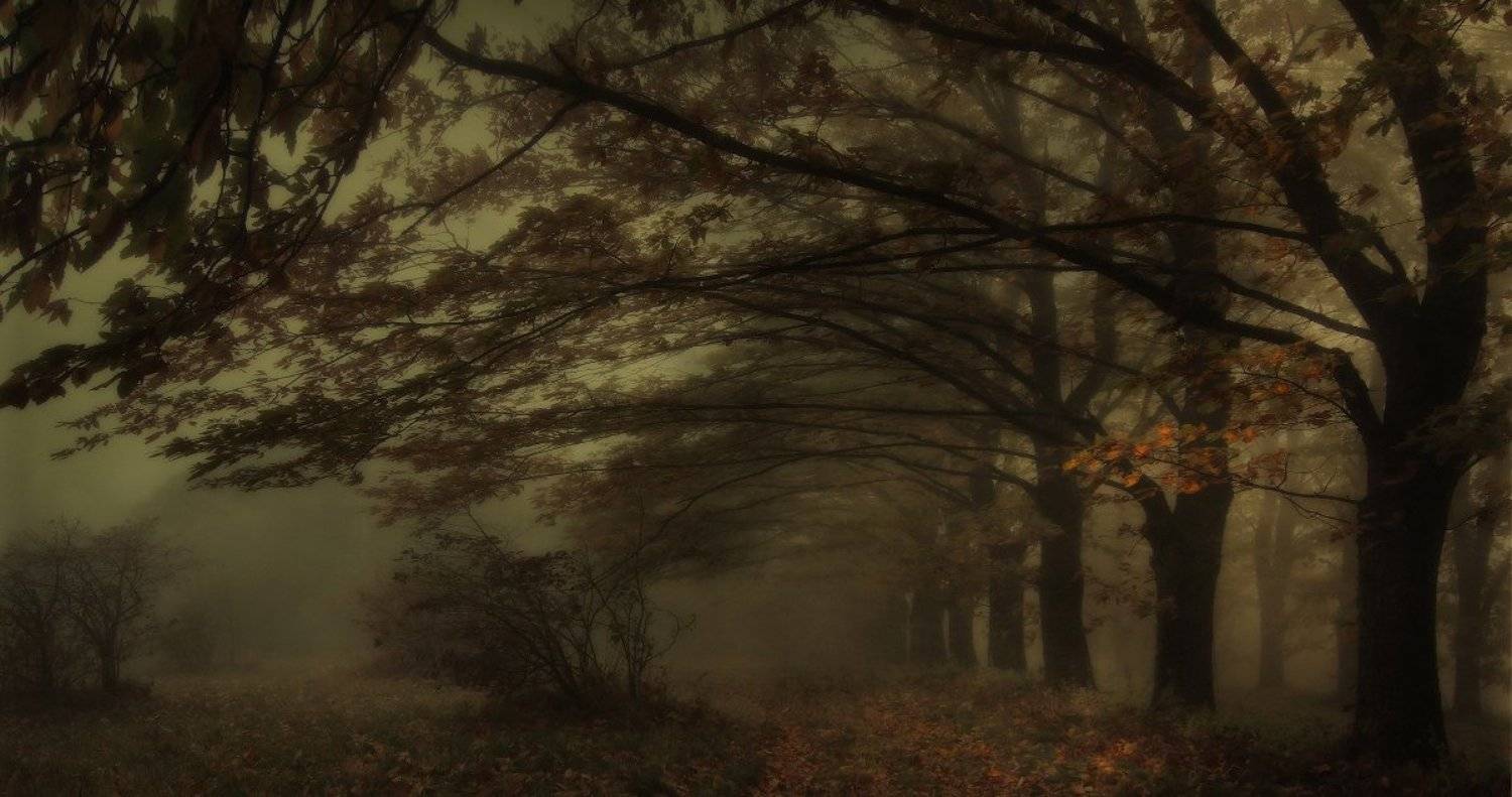 , Михаил  Пилипенко