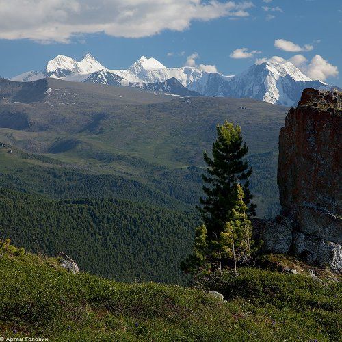 Белуха, кедр и камень