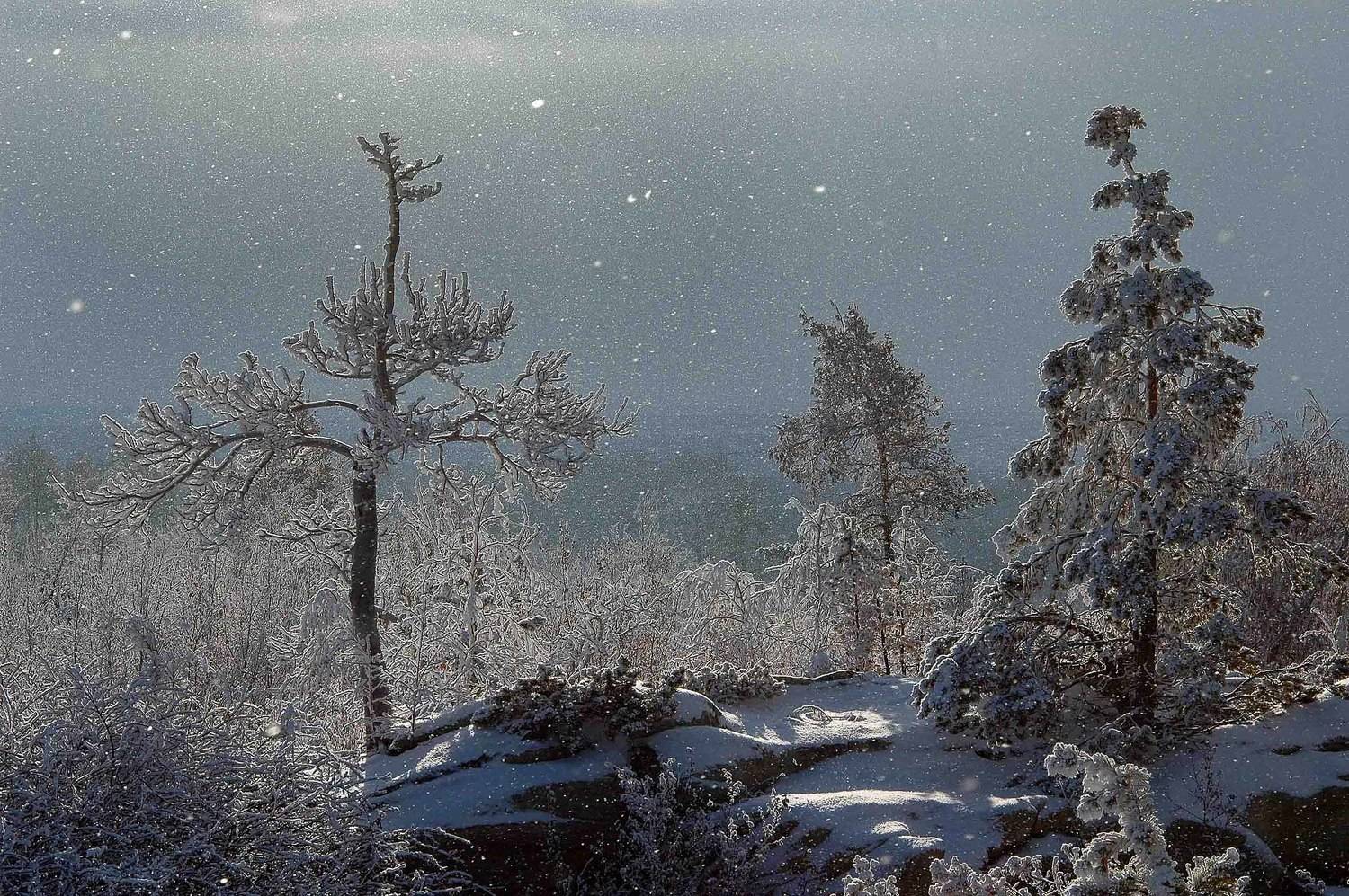 , Орлов Михаил