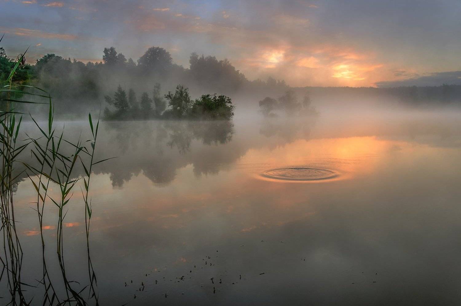 Небо, Облака, Отражение, Пейзаж, Рассвет, Туман, Утро, Анатолий Зверев