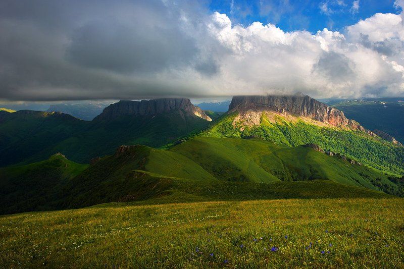 Ачешбок подвесной потолок фото превью