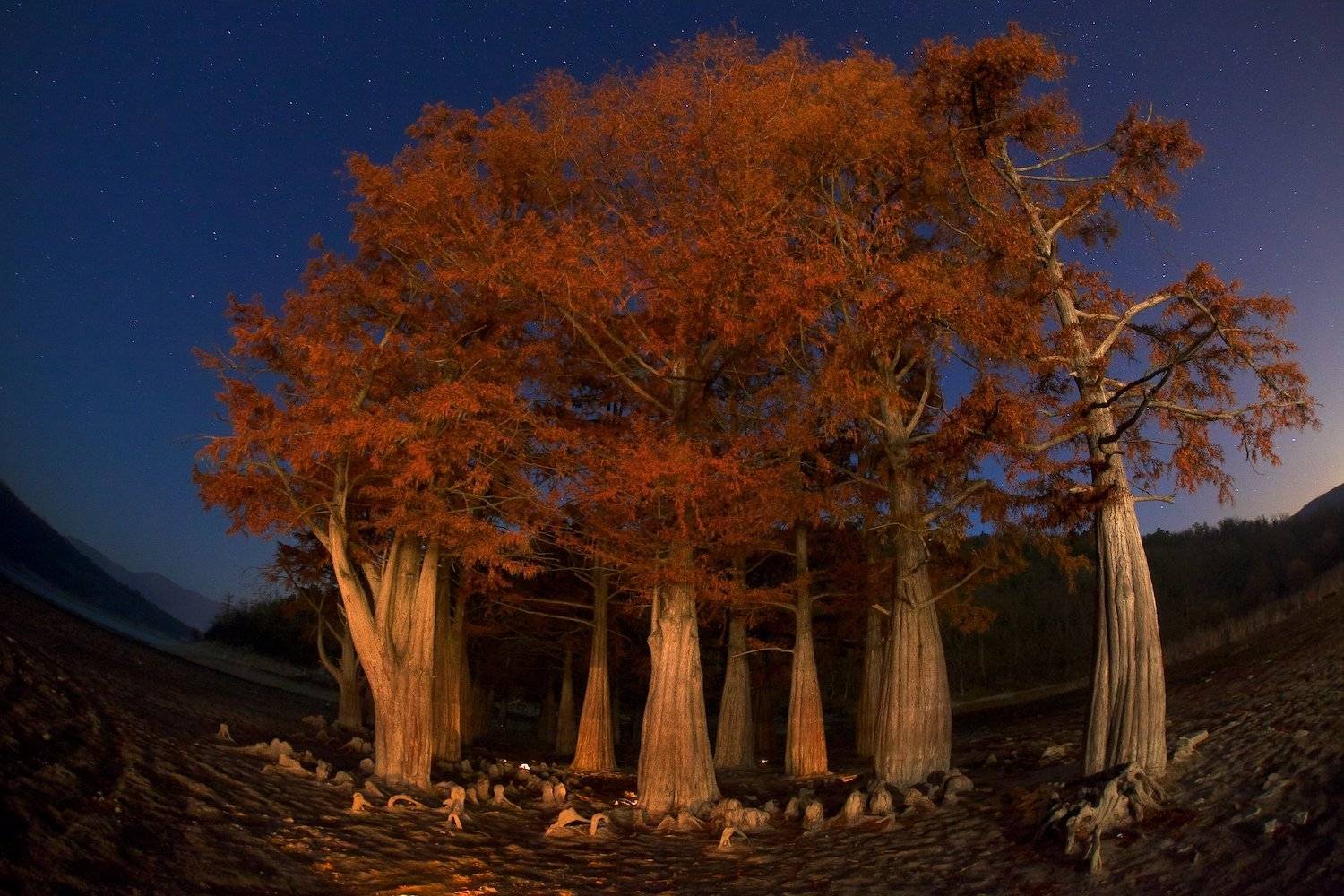 , Никифоров Егор