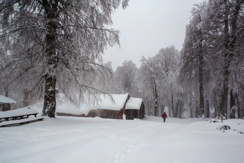 zima фото превью