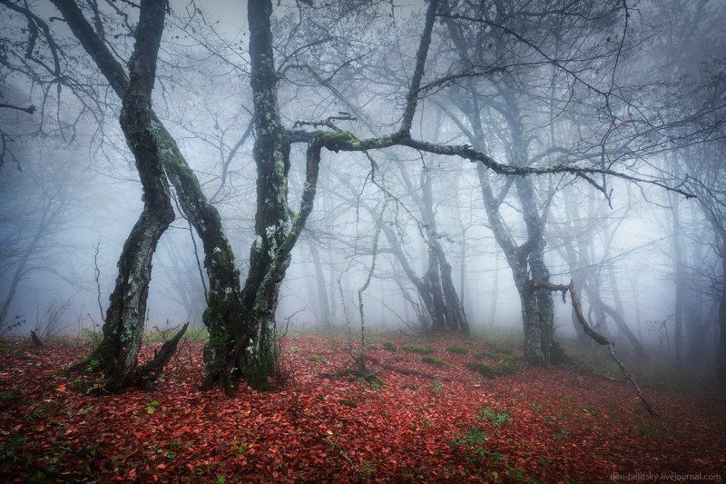 Утро на Ай-Петри фото превью