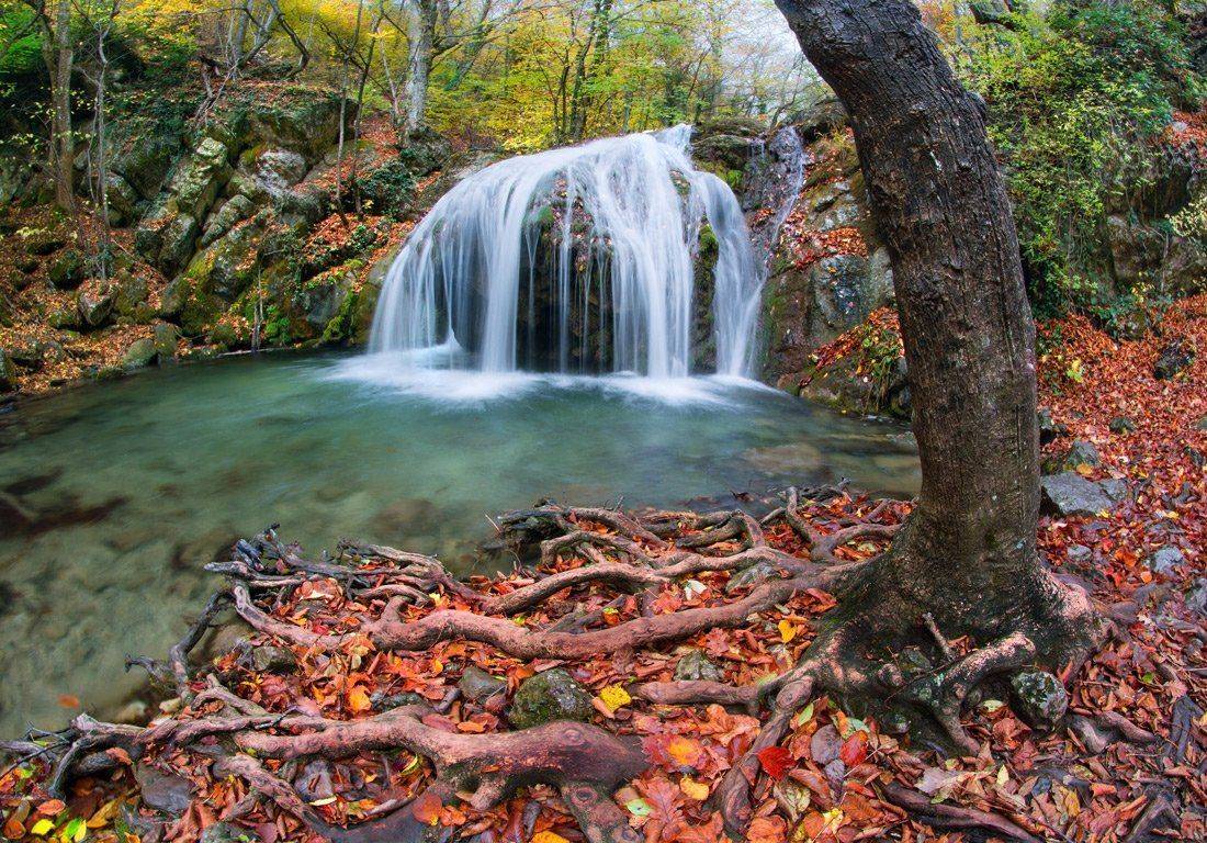 Водопад, Корни, Крым, Осень, Улу-узень, Маркович Михаил