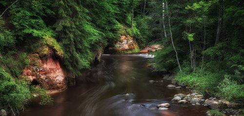 Заповедная река