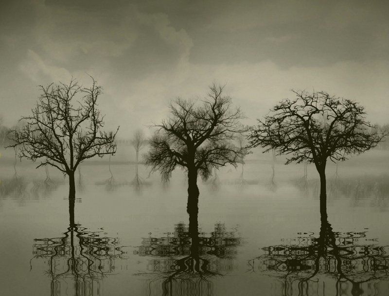 Весна фото превью