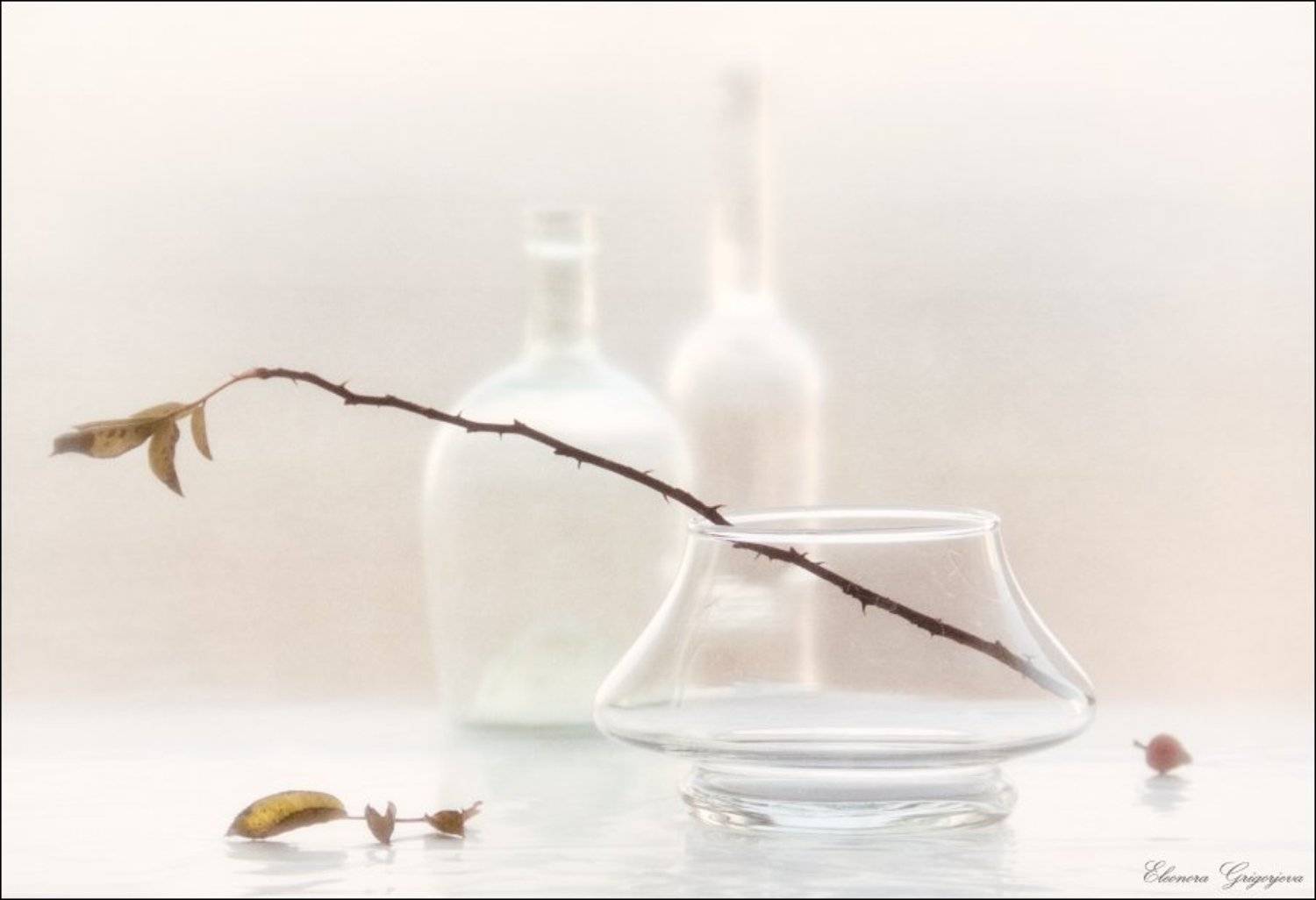 , Eleonora Grigorjeva