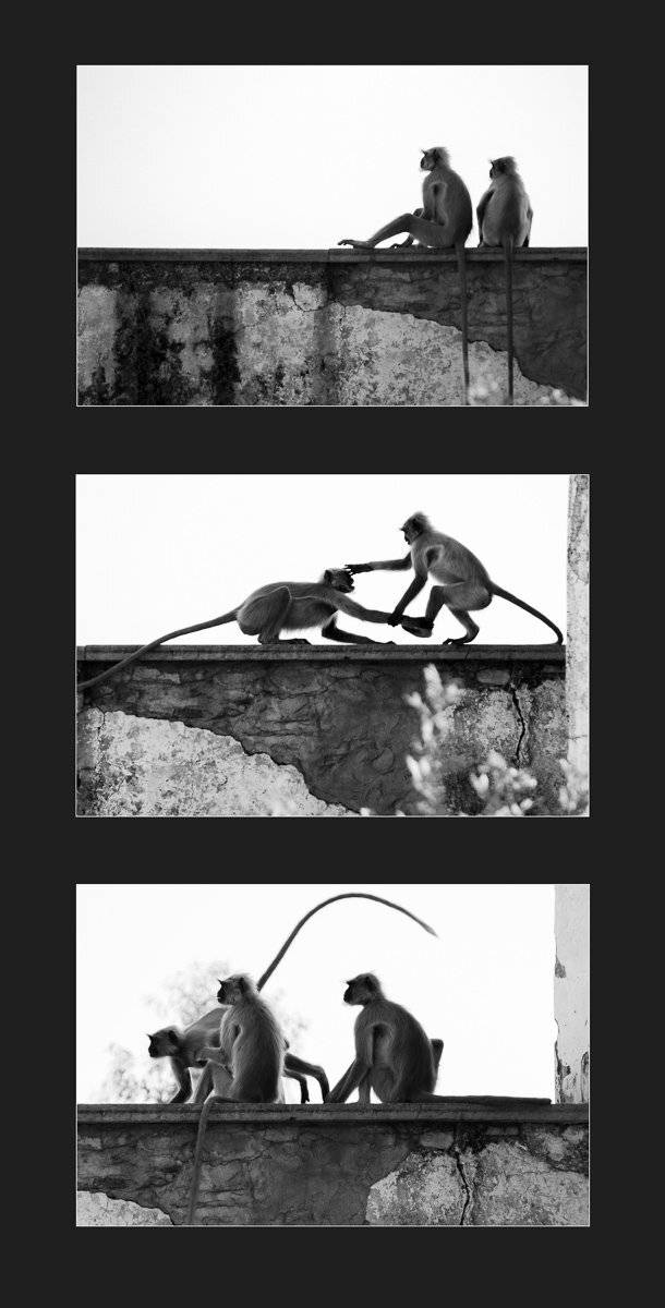 , Сергей Козинцев