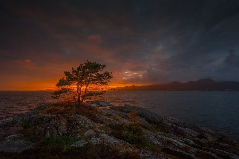 Odda фото превью