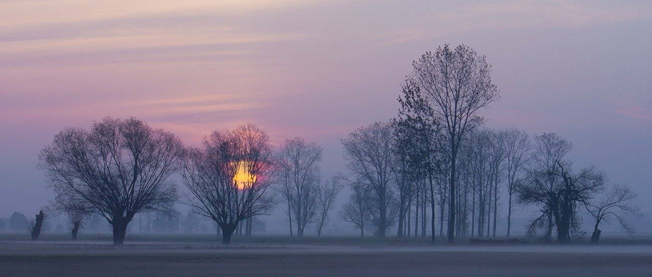 , Pawel Plucinski