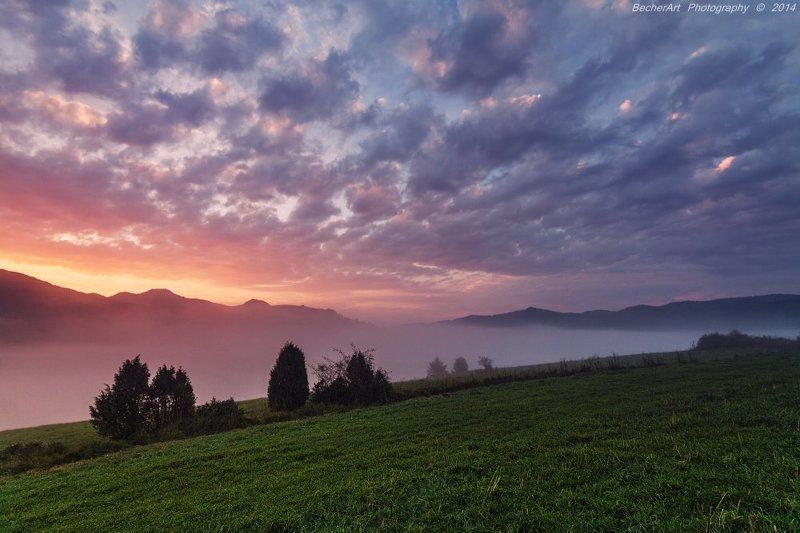 Silence Tells More III фото превью