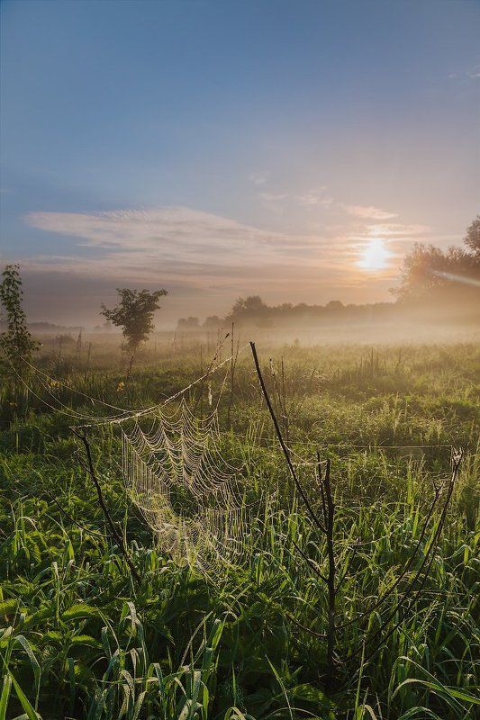 Сети на просушке фото превью