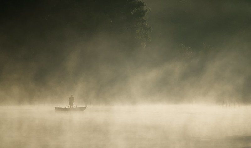 Morning Light фото превью