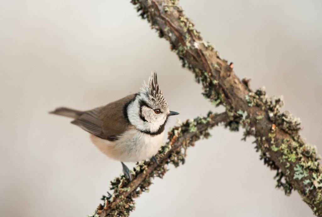 , Юрий Кулаков