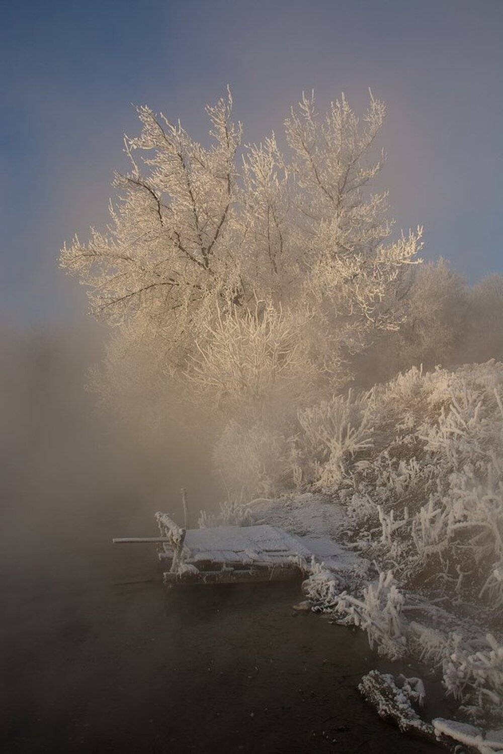 , Руслан Сигушин