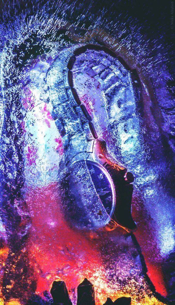 , Акулич Макс