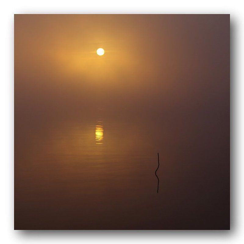 : , фото превью