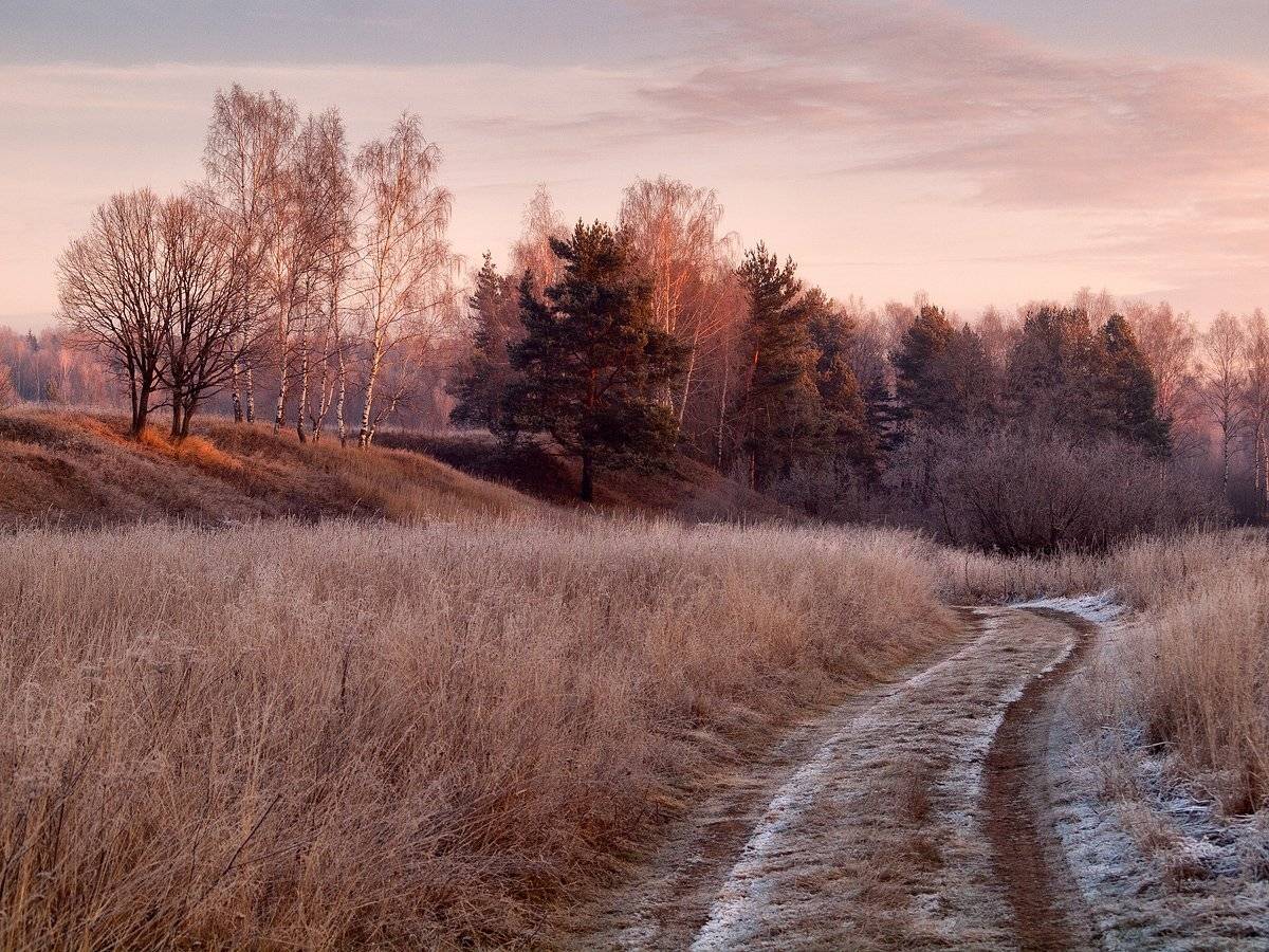 , Владимир Перепечаев