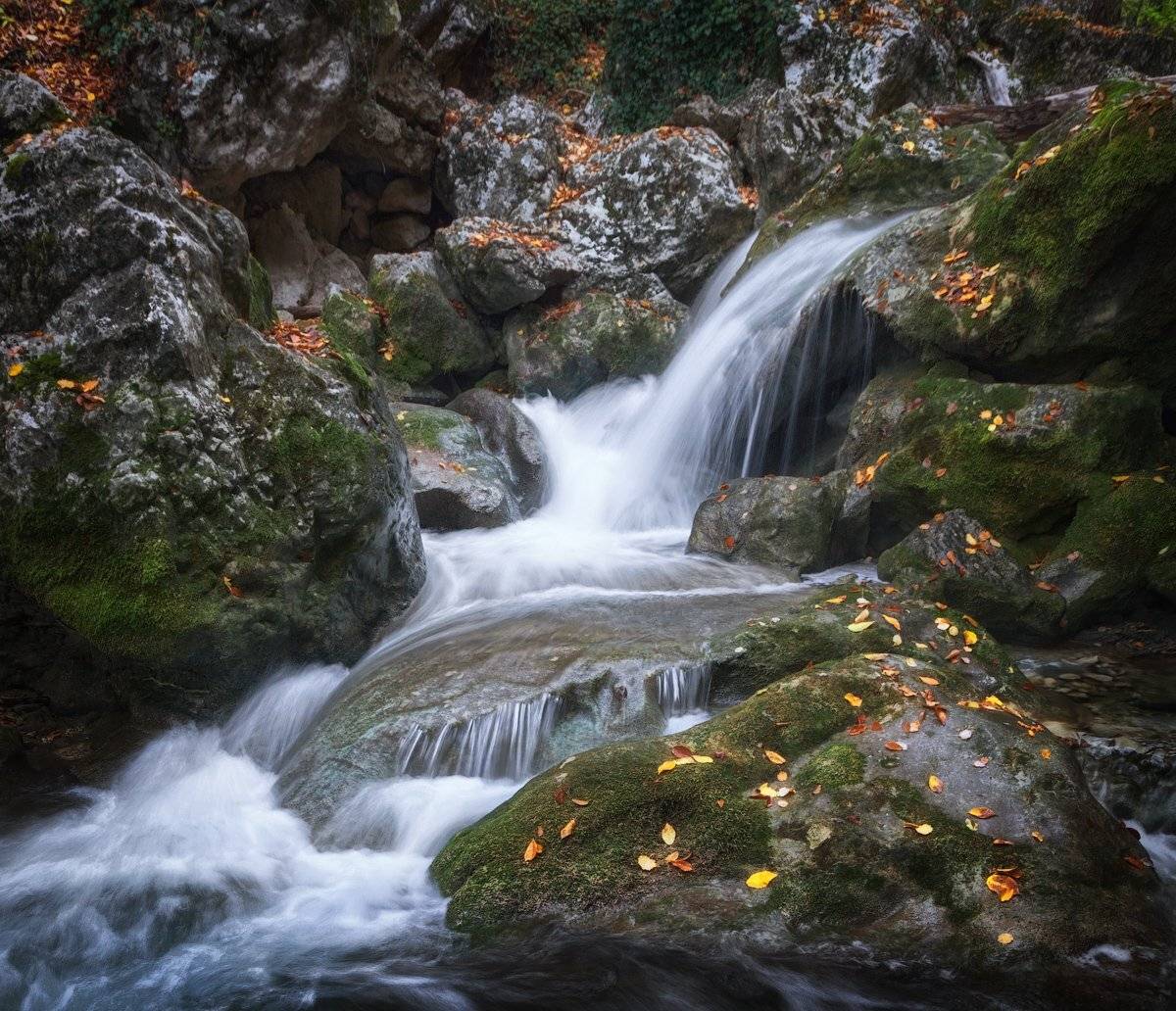 , Денис Сорокин