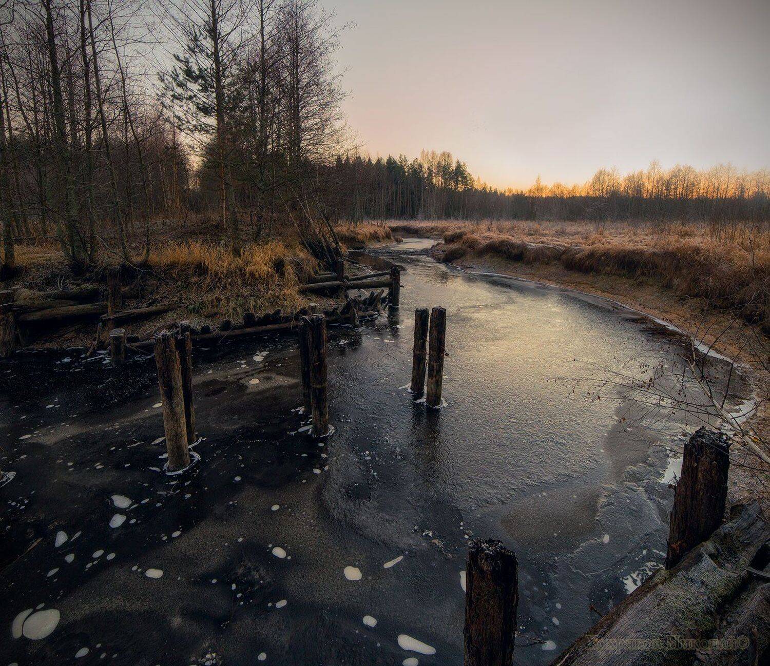 , Хохряков Николай