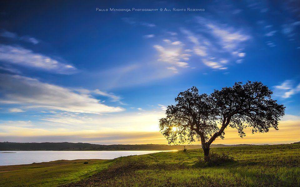 , Paulo Mendon&ccedil;a