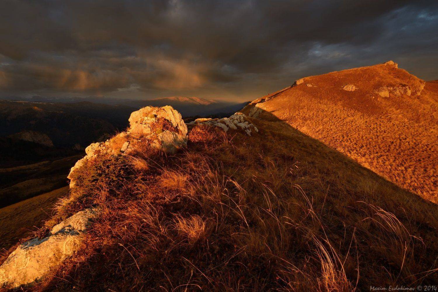 , Максим Евдокимов