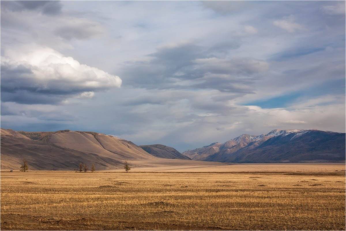 алтай., степь., курайская, степь., горный, алтай., осень., Кутыгин Эдуард