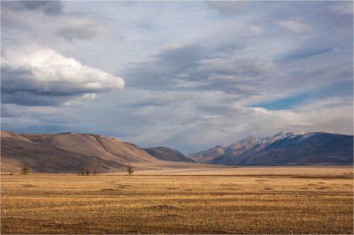 Курайская степь. Осень.