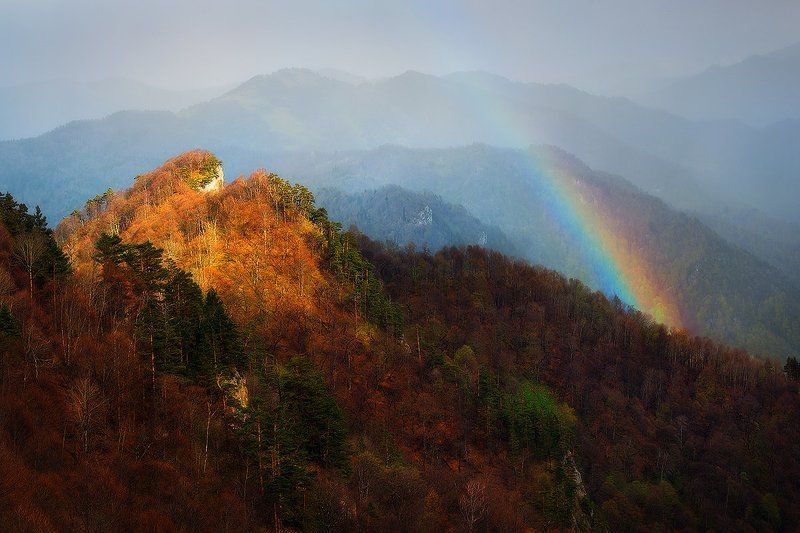Когда в горах после дождя фото превью