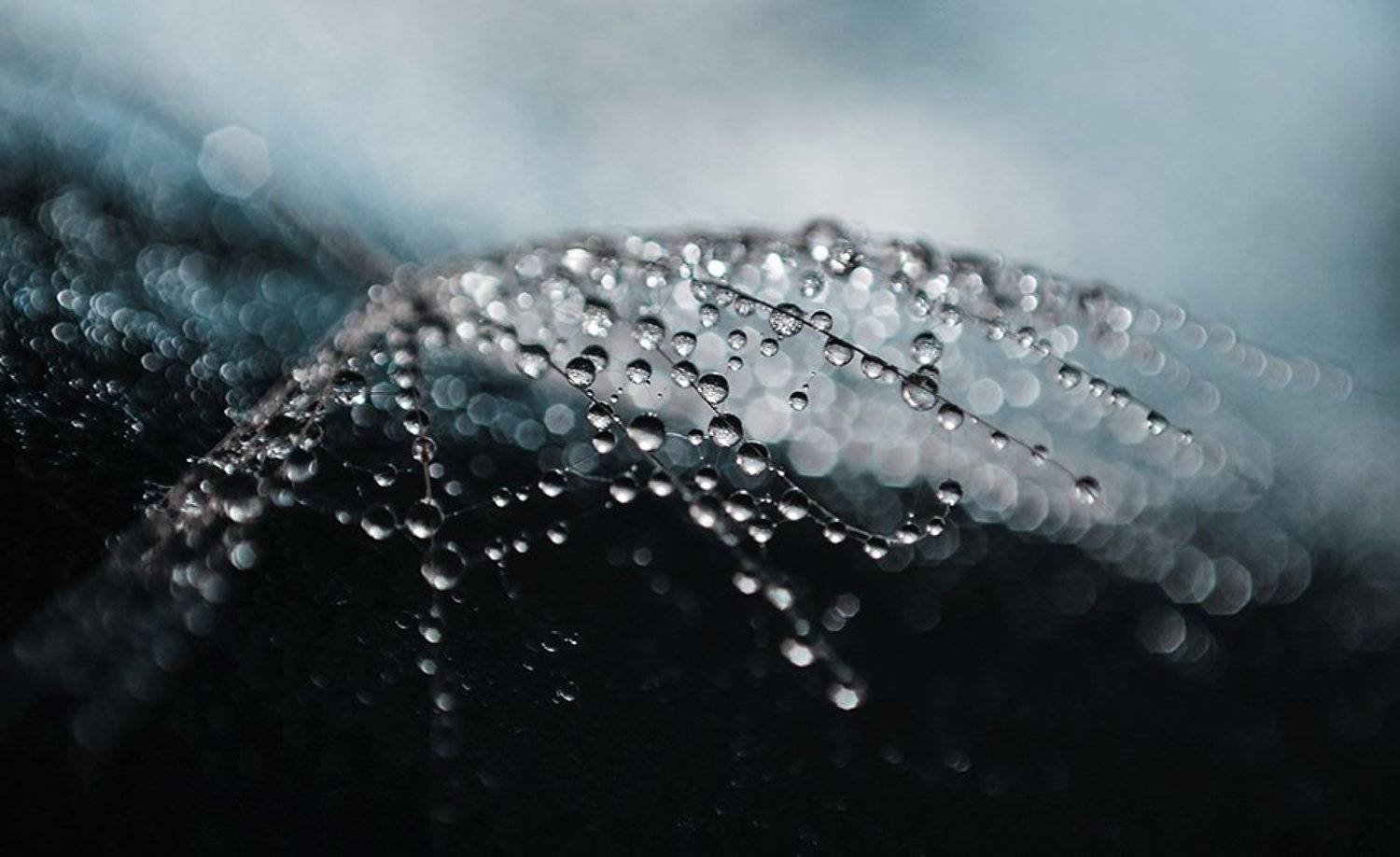 , Ивелина Благоева