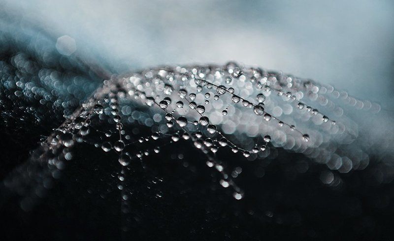 \'~. фото превью