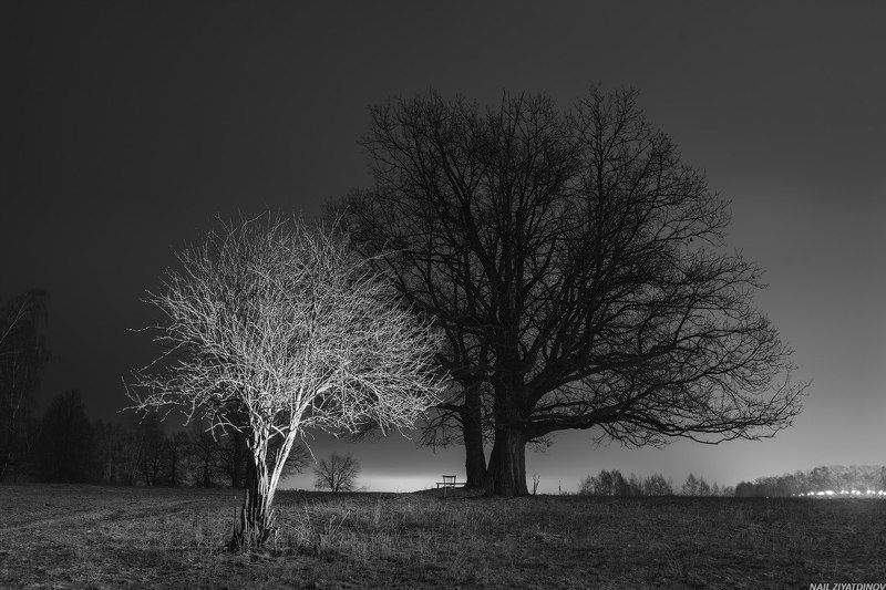 Черное и белое фото превью