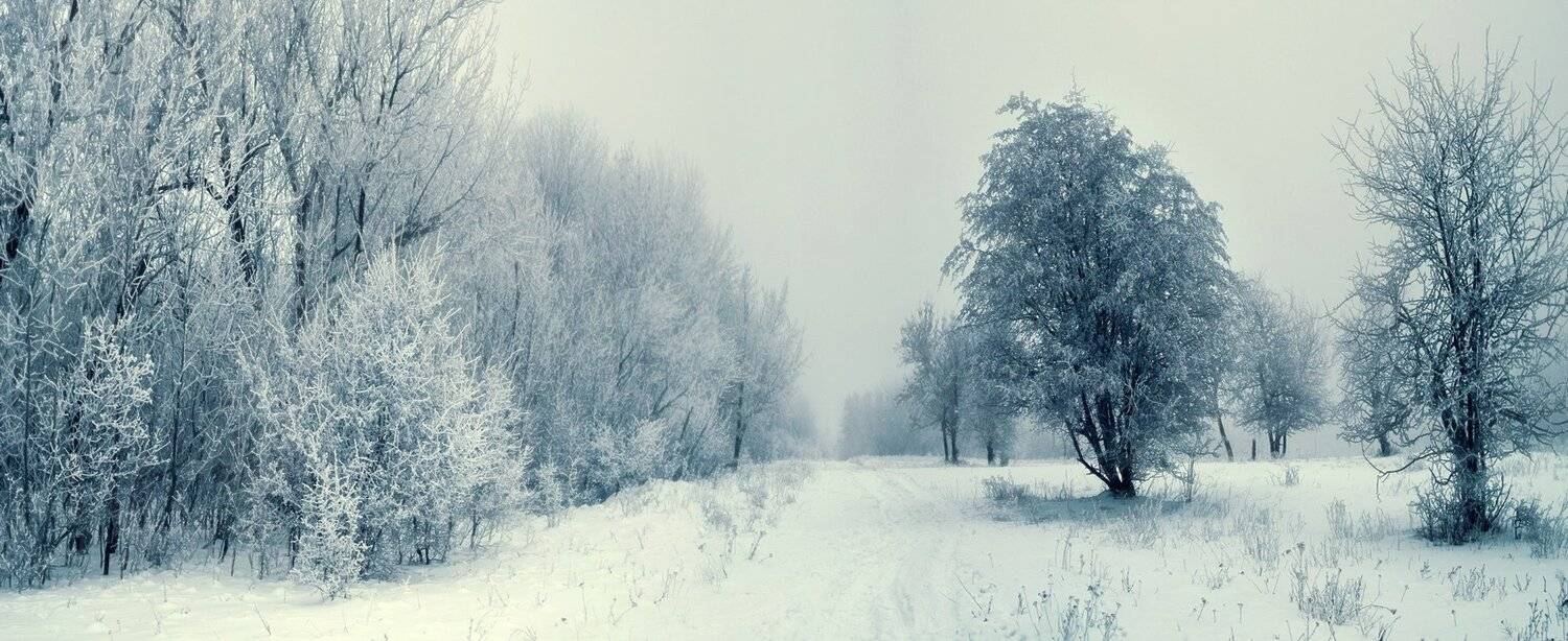 , Игорь Мелекесцев