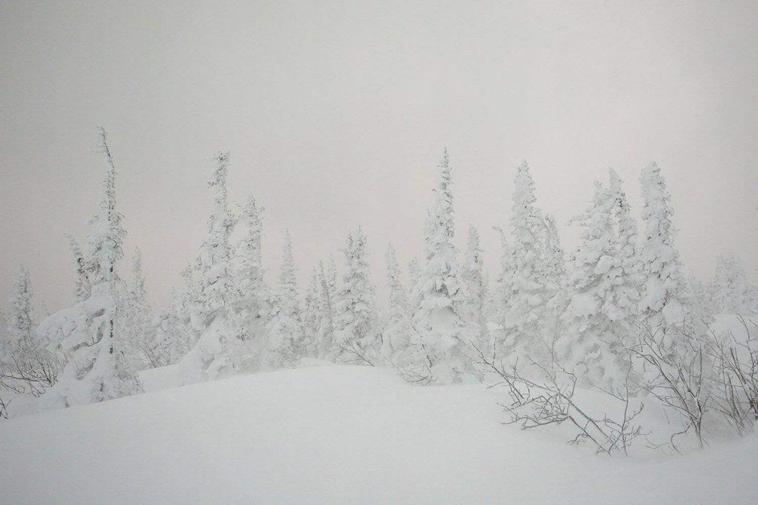 , Константин Буркин