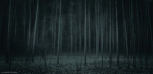 Уголки Азербайджана