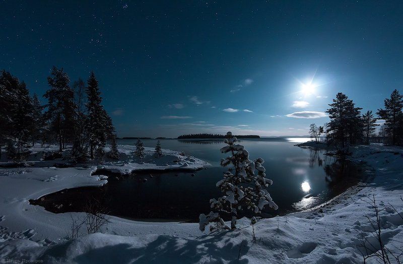 Декабрь, Кольский полуостров Лунной декабрьской ночью. фото превью