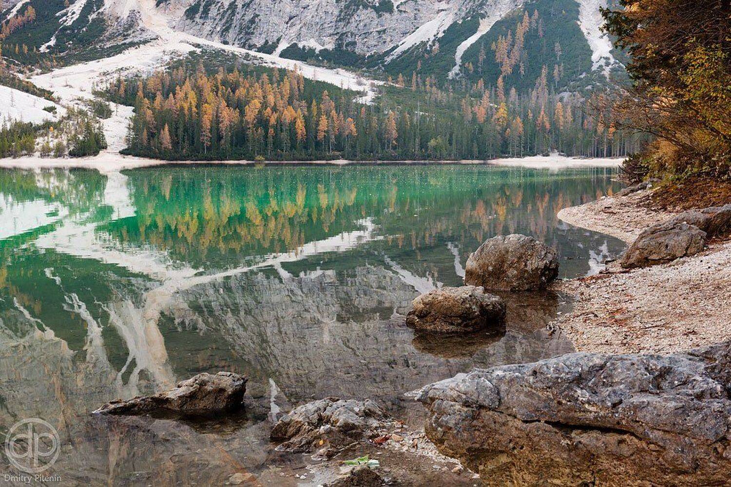 , Питенин Дмитрий