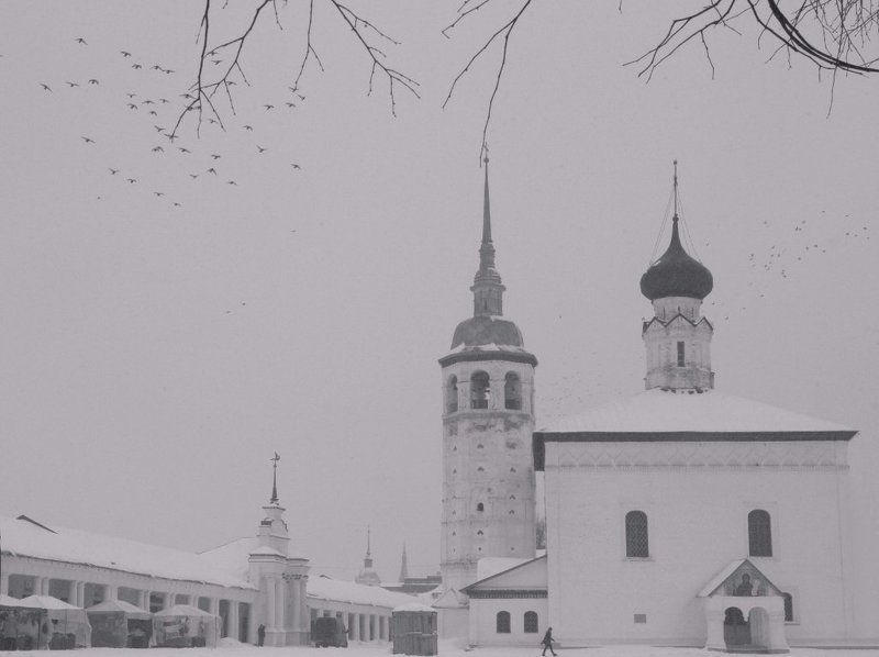 b&w в городе N фото превью