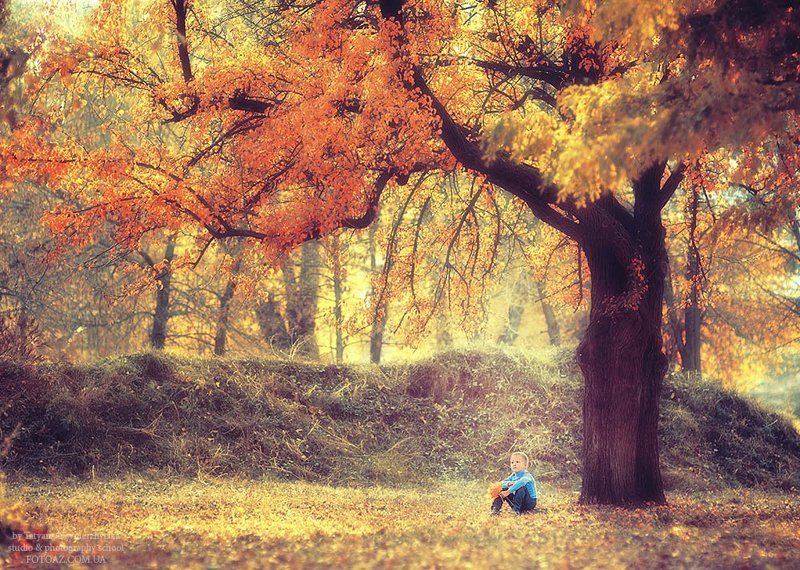 Осень фото превью