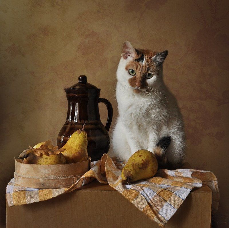 осенний портрет в интерьере фото превью