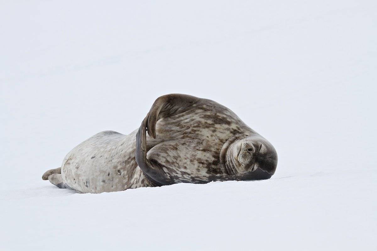 , Мазурин Евгений