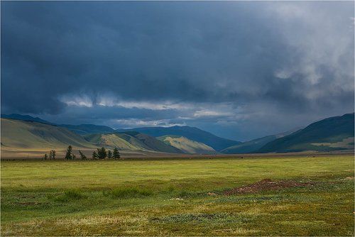 Курайская степь. Лето.