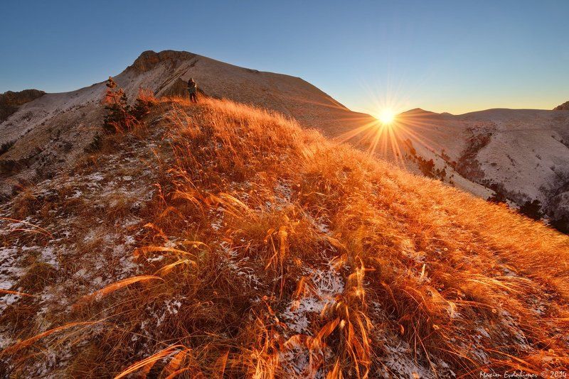 *** фото превью