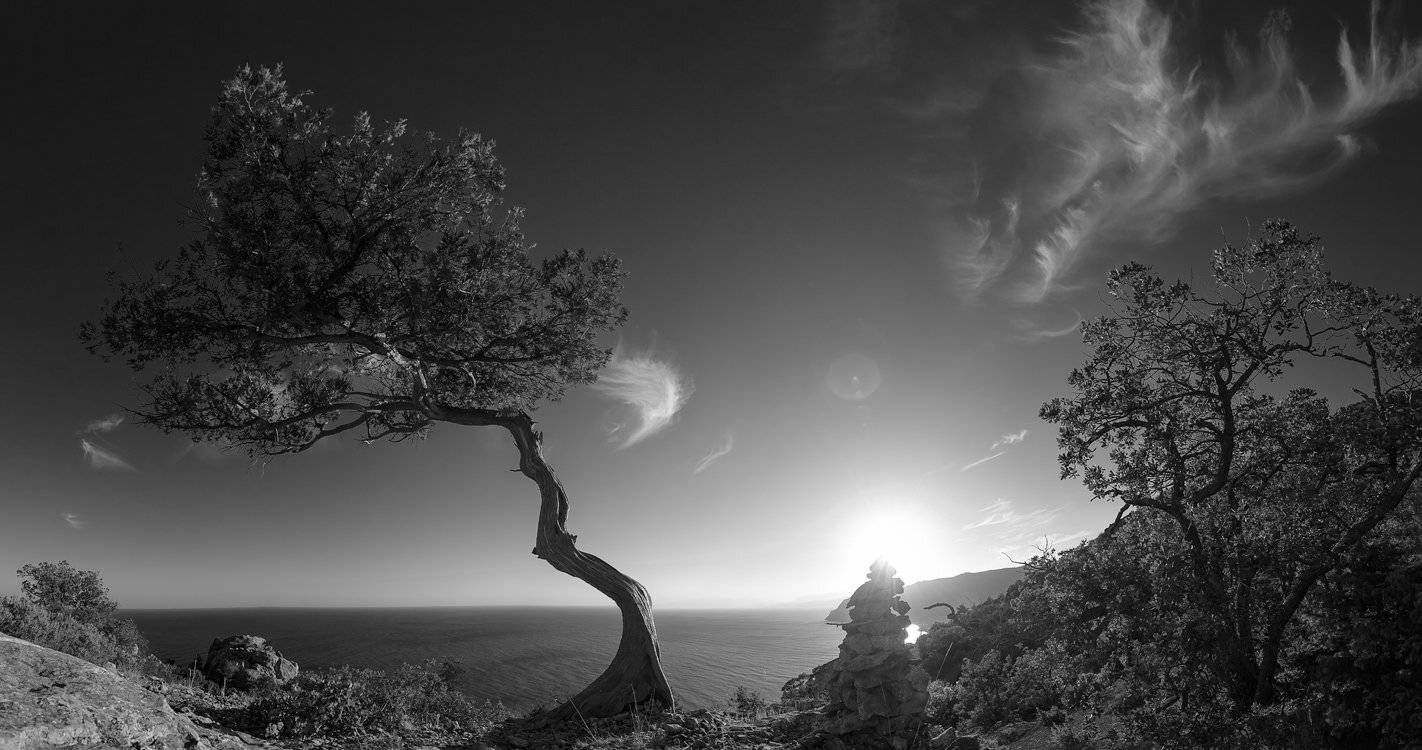 , Алексей Горохов