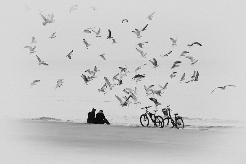 rest фото превью