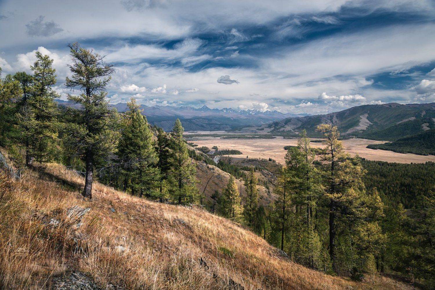 Алтай, Большой, Высокий, Высота, Горный алтай, Горы, Даль, Желтый, Зеленый, Небо, Облака, Пейзаж, Природа, Путешествие, Сибирь, Синий, Склон, Степь, Хребет, Широкий, Дмитрий Антипов